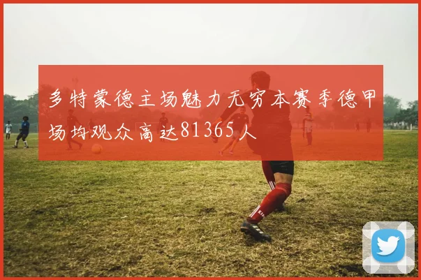 多特蒙德主场魅力无穷本赛季德甲场均观众高达81365人