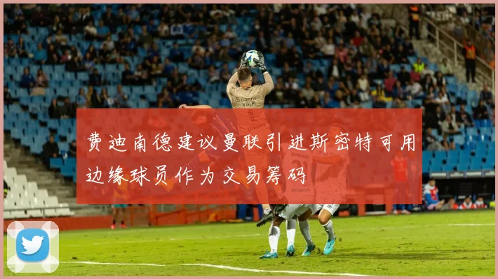 费迪南德建议曼联引进斯密特可用边缘球员作为交易筹码